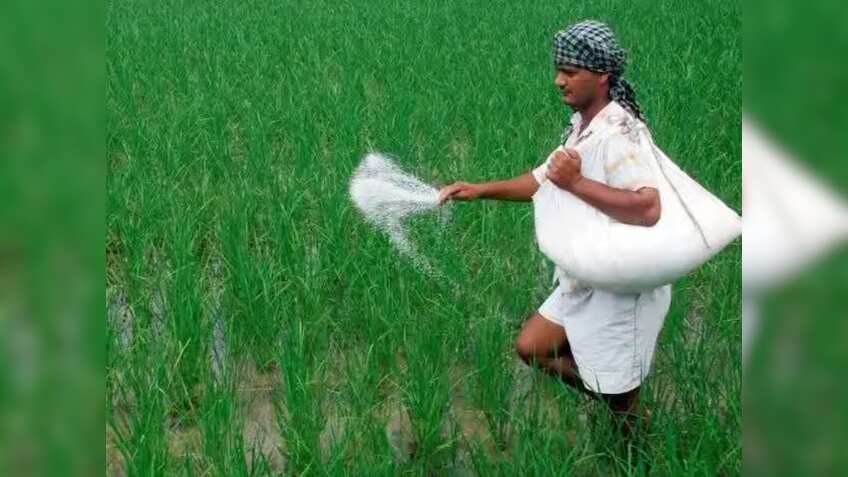 दिवाली से पहले सरकार का किसानों को तोहफा, रबी सीजन के लिए फर्टिलाइजर सब्सिडी को कैबिनेट से मिली मंजूरी