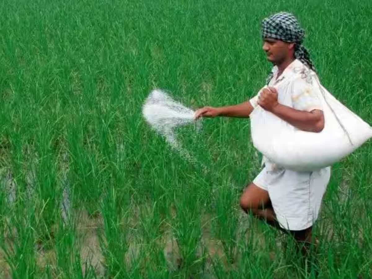 दिवाली से पहले सरकार का किसानों को तोहफा, रबी सीजन के लिए फर्टिलाइजर सब्सिडी को कैबिनेट से मिली मंजूरी