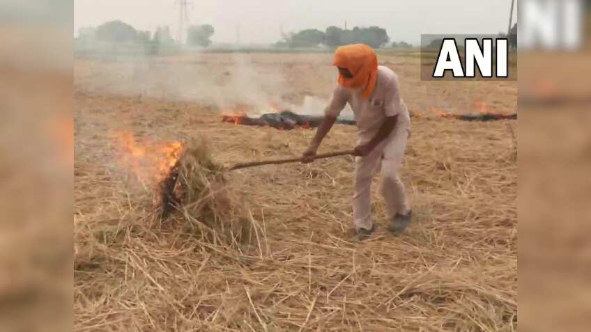 जहरीली हवा को लेकर बिहार सरकार का बड़ा एक्शन, पराली जलाने वाले किसानों से नहीं होगी धान की खरीद 