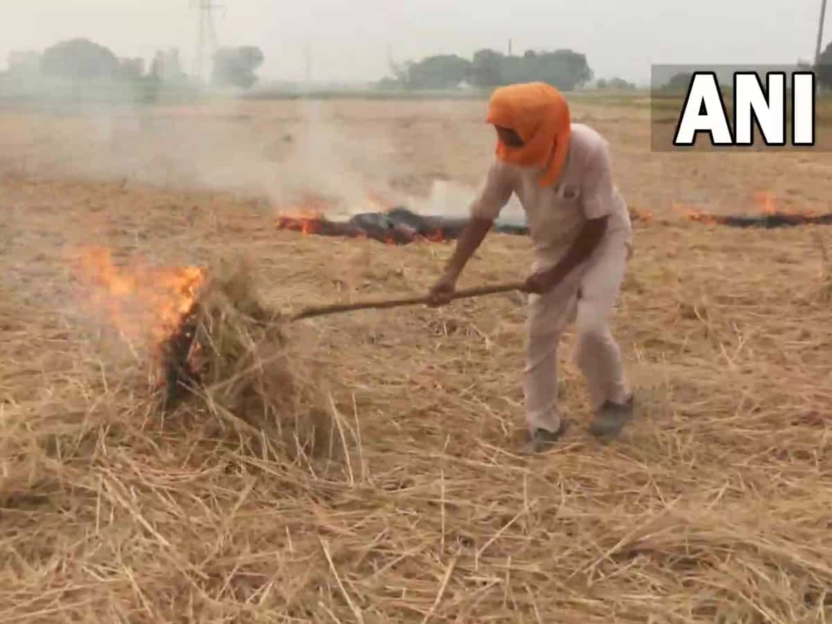 जहरीली हवा को लेकर बिहार सरकार का बड़ा एक्शन, पराली जलाने वाले किसानों से नहीं होगी धान की खरीद 