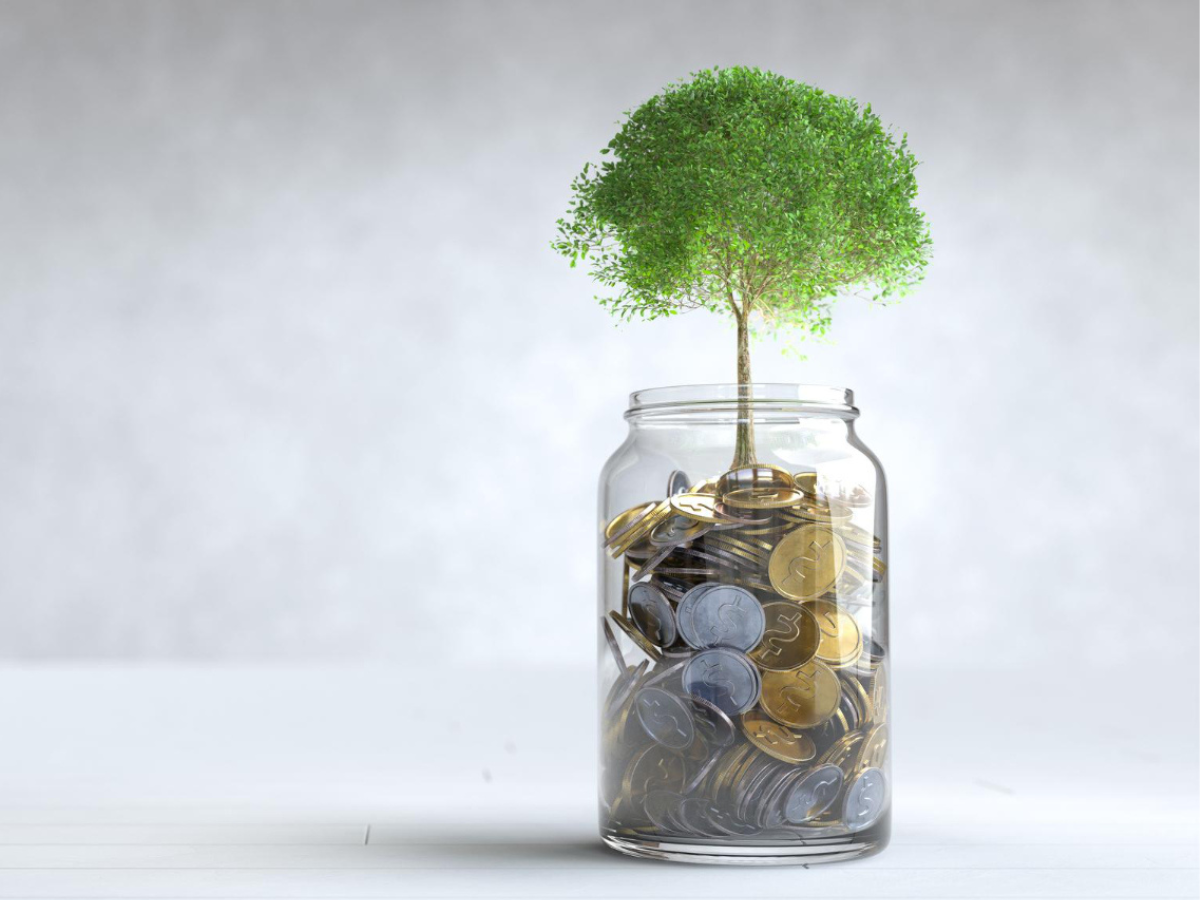 SIP की पावर: ₹10,000 मंथली निवेश से बना ₹2.6 करोड़ का फंड, निवेशकों को इस फंड में मिला जबरदस्त रिटर्न