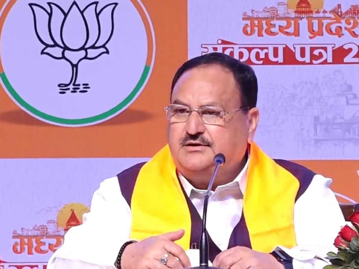 MP Elections, BJP Manifesto: पांच साल तक मुफ्त राशन, लाड़ली बहनों को पक्का मकान, बीजेपी ने जारी किया मध्य प्रदेश के लिए घोषणा पत्र