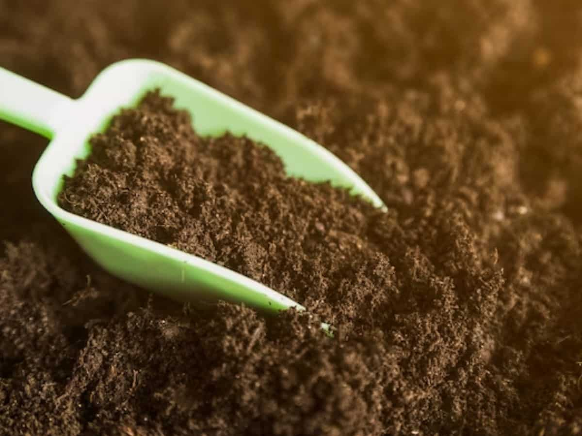 NADEP Compost: इस कम्पोस्ट से 20% तक घट जाएगी खेती की लागत, जानिए बनाने का तरीका