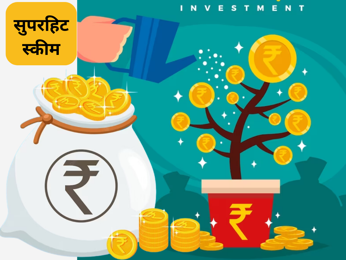 PPF में 3 ऑप्शन आपके पैसे का ही फ्यूचर बदल देंगे! जान लीजिए हर महीने ₹1000, ₹3000, ₹5000 जमा से कितना मिलेगा?