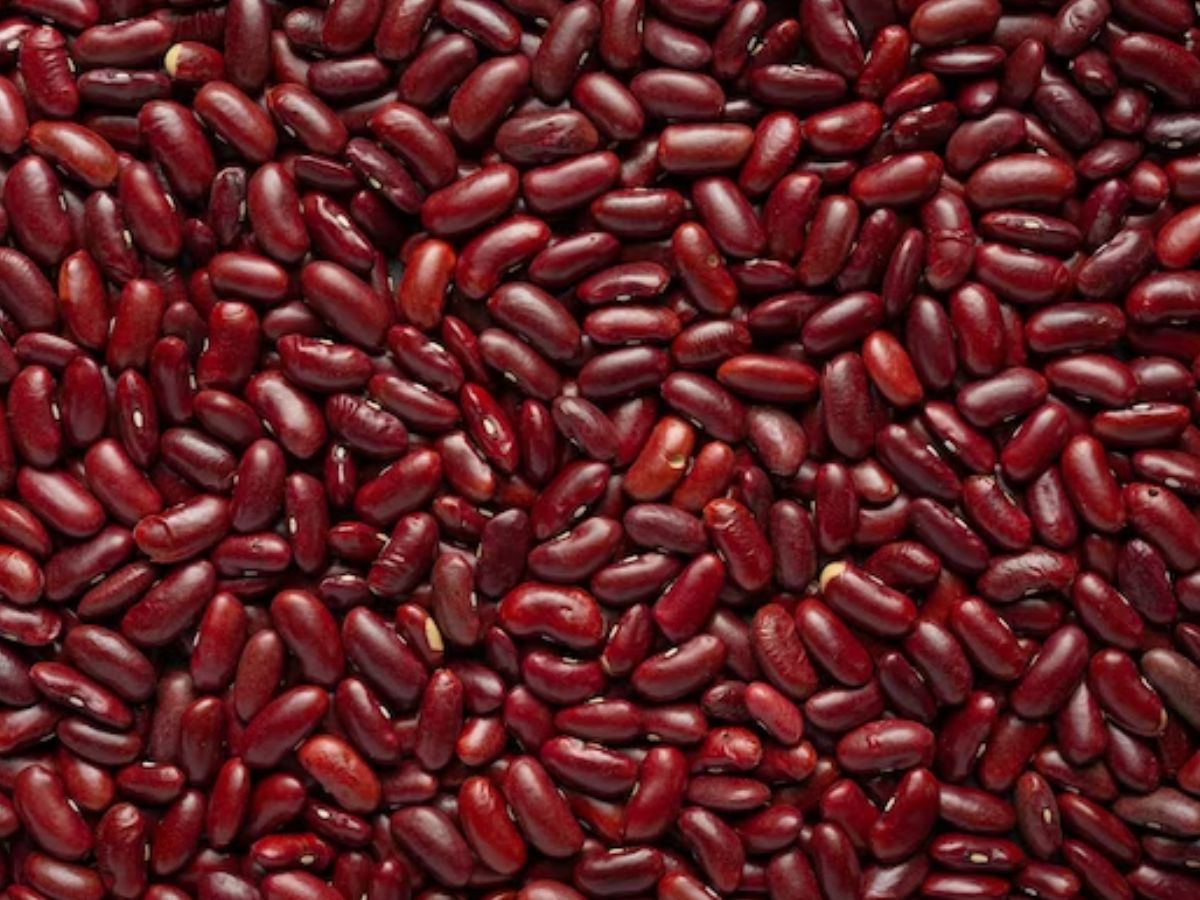 Agri Business Idea: 3-4 महीने में लाखों की कमाई कराएगी ये फसल, जानिए उन्नत किस्में और खेती का तरीका