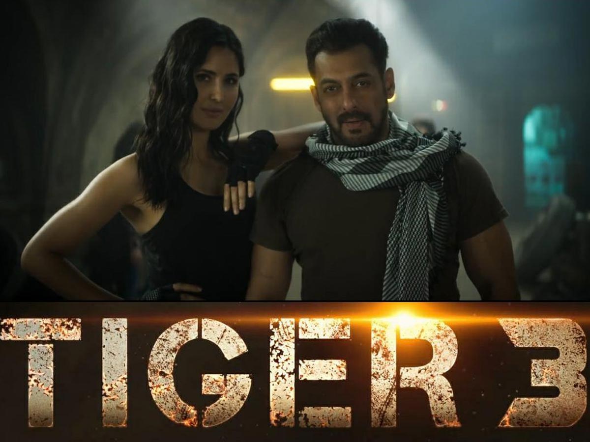 बॉक्स ऑफिस पर टाइगर 3 का बुरा हाल, सलमान खान के लिए खतरे की घंटी, 300 करोड़ कमाने भी मुश्किल