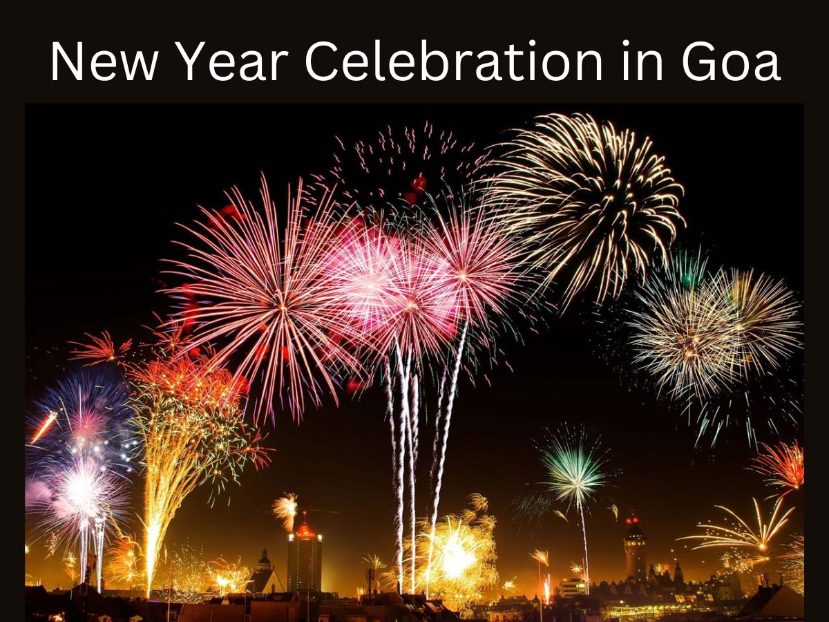 New Year 2024: न्यू ईयर सेलिब्रेशन का Hot Destination है गोवा...लेकिन आप न बनाएं प्लान, वरना होगा बड़ा पछतावा