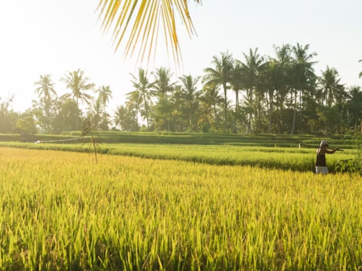 Climate Warrior ने महाराष्ट्र के किसानों को चेताया, 2050 तक इन इलाकों में होगी बारिश में इतनी बढ़ोतरी
