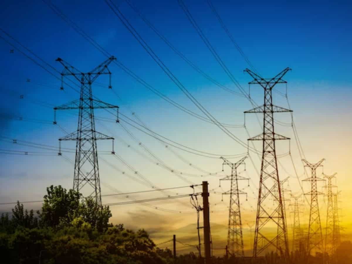 Electricity Bill Hike: नए साल में इस राज्य के लोगों को लग सकते हैं झटके, 25% महंगी हो जाएगी बिजली