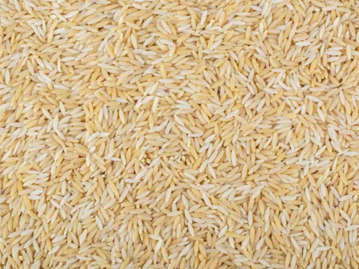 NCEL को 9 लाख टन टूटे चावल, 35 हजार टन गेहूं उत्पादों के एक्सपोर्ट की मंजूरी, जानिए पूरी डीटेल