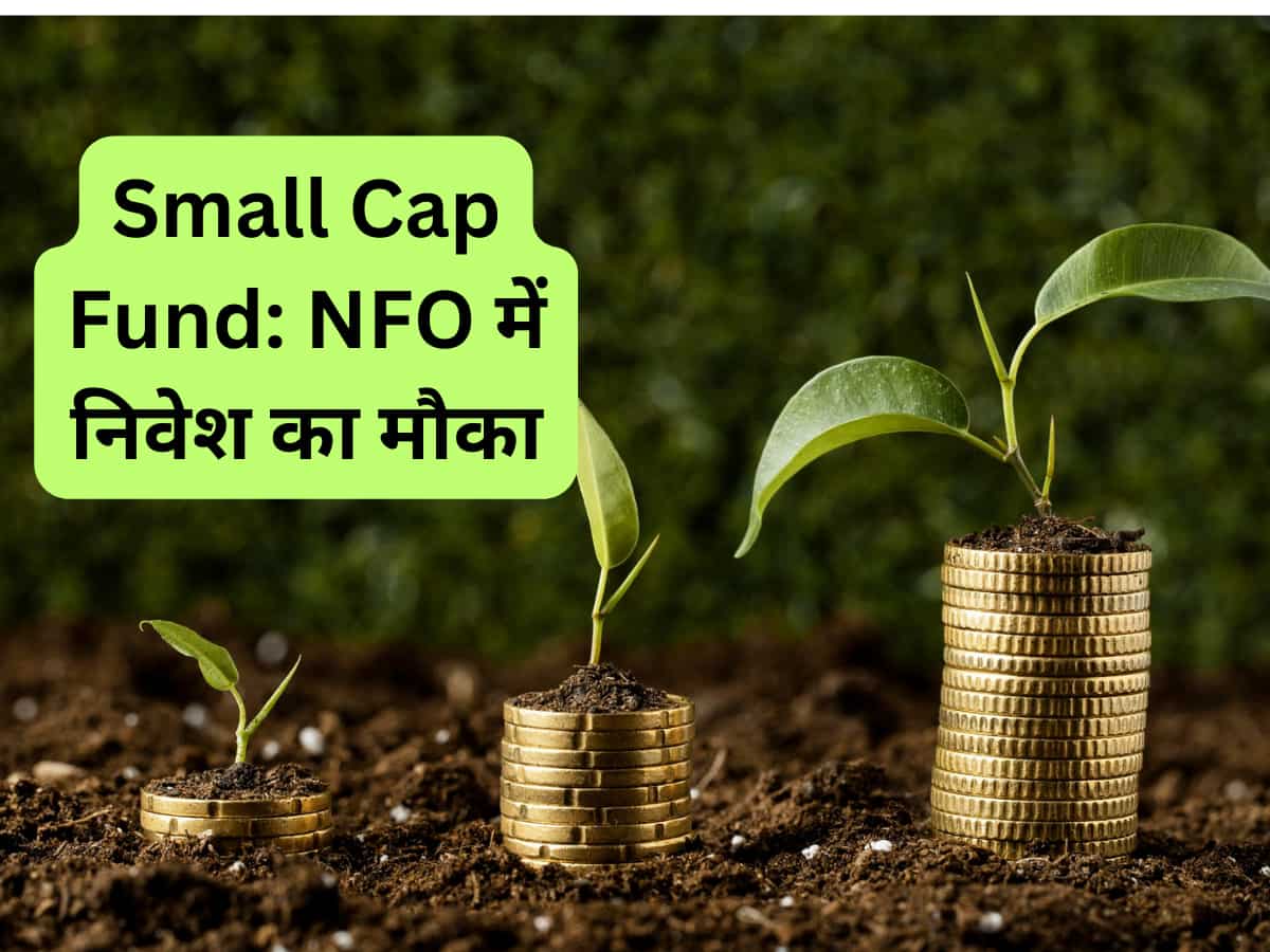 आज से खुल गया नया Small Cap Funds, ₹500 से शुरू कर सकते हैं निवेश; लॉन्‍ग टर्म में बनेगी वेल्‍थ 