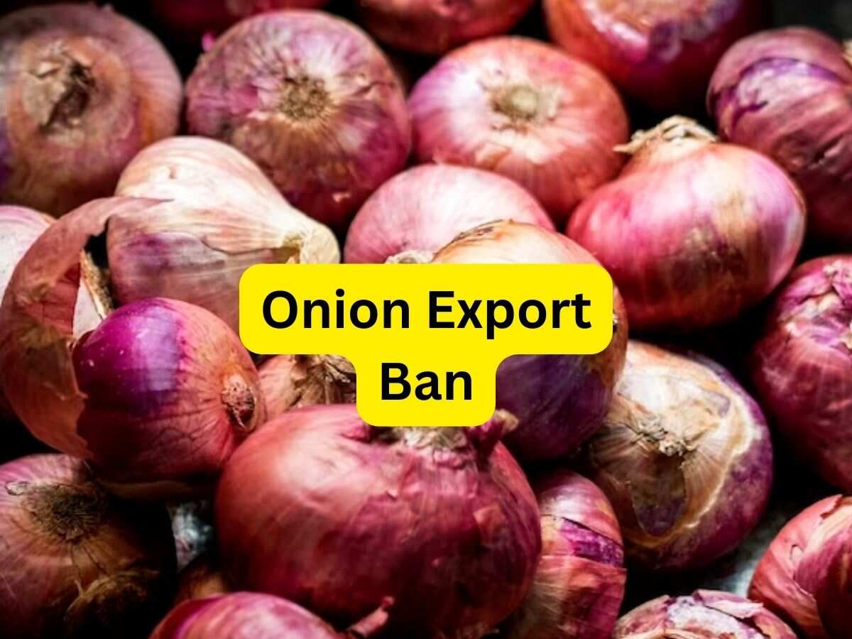 Onion Prices: प्याज की कीमतों पर नियंत्रण के लिए सरकार का बड़ा फैसला, अगले साल मार्च तक Export पर प्रतिबंध