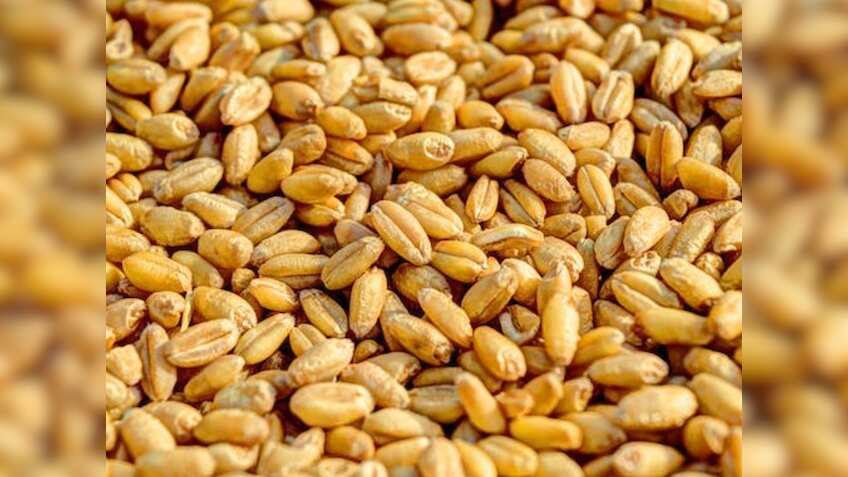 क्या महंगे आटे से मिलेगी राहत? जनवरी-मार्च में OMSS के तहत 25 लाख टन अतिरिक्त गेहूं बेच सकती है सरकार