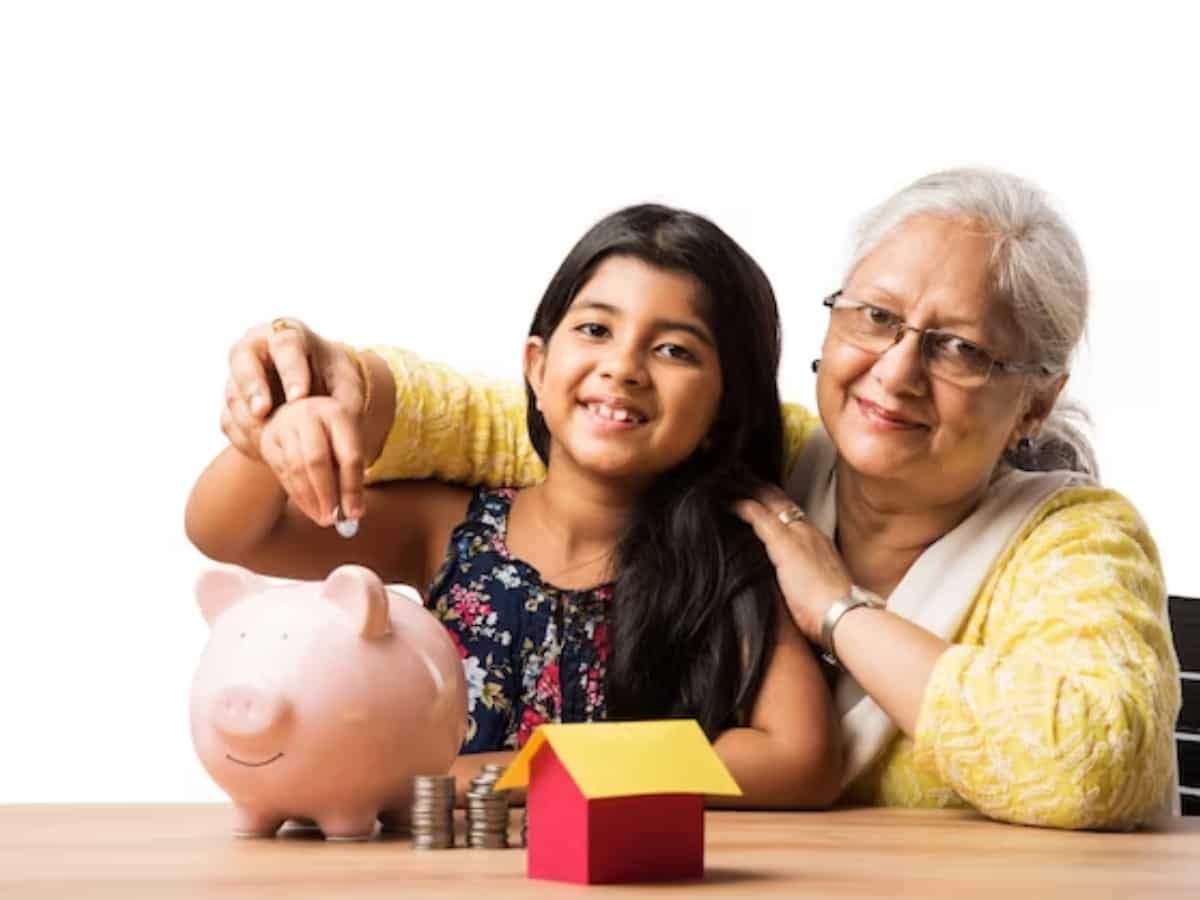 Best Investment Scheme for Women: महिलाएं करना चाहती हैं अच्छी कमाई तो इन स्कीम्स से होगा बंपर फायदा