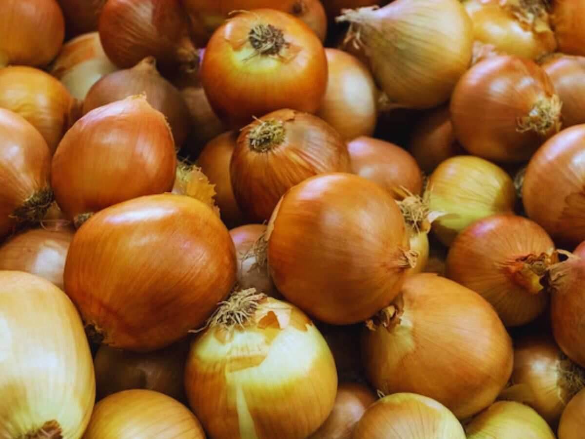 Onion Price: प्याज पर सरकार का बड़ा फैसला, किसान और ग्राहक दोनों को होगा फायदा, जानिए डीटेल
