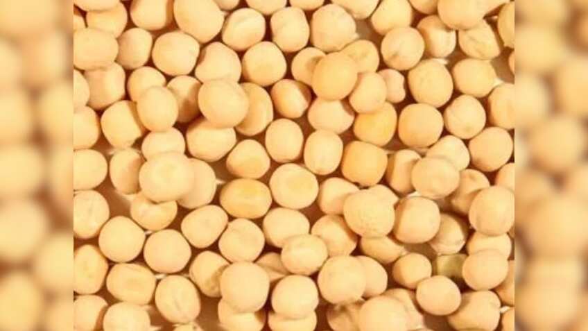 सरकार का बड़ा फैसला, मार्च 2024 तक पीली मटर के आयात को इम्पोर्ट मॉनिटरिंग सिस्टम के तहत रजिस्टर करना अनिवार्य