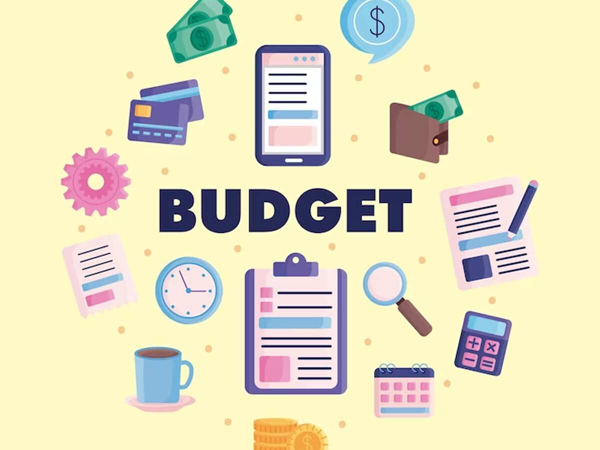 Budget 2024: बजट में क्रिटिकल मिनरल्स से हट सकती है कस्टम ड्यूटी, दो कंपनियों के शेयरों में आई भारी तेजी