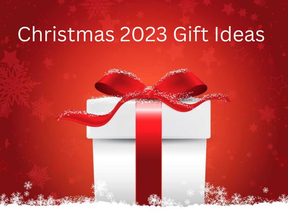 Christmas 2023 Gift Ideas: सीक्रेट सेंटा बनकर इस बार क्रिसमस पर अपनों को दें ये सरप्राइज
