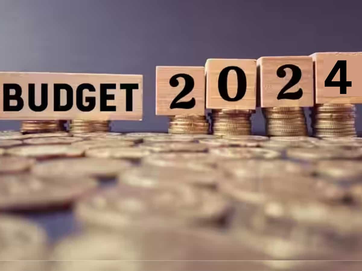 Budget 2024: क्या होती है सब्सिडी? 1 मिनट में समझिए इसका पूरा मतलब