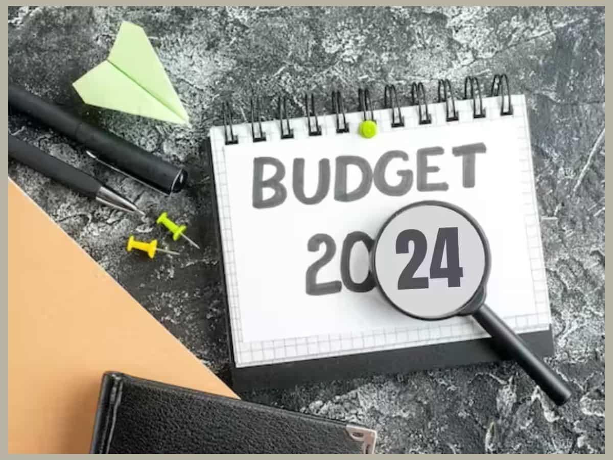 Budget 2024: बजट के दौरान वित्‍त मंत्री करते हैं ऐसे Financial Terms का इस्‍तेमाल, जो अक्‍सर समझ में नहीं आते, यहां जान लें मतलब