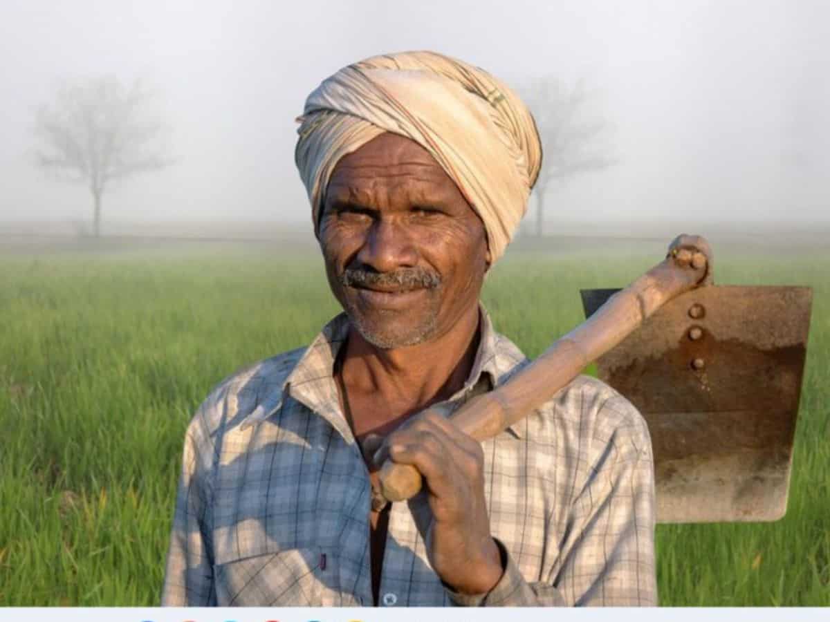 PMFBY: अब फसल बीमा से जुड़ी समस्याएं हल करना हुआ और भी आसान, नोट कर लें टोल फ्री नंबर