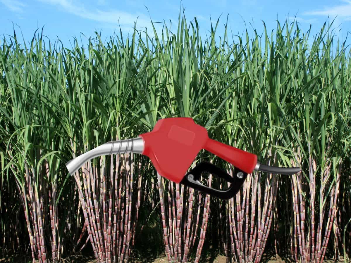 Ethanol के लिए गन्ना रस के इस्तेमाल पर बैन से ₹15000 करोड़ का निवेश जोखिम में, किसानों के भुगतान में देरी हो सकती