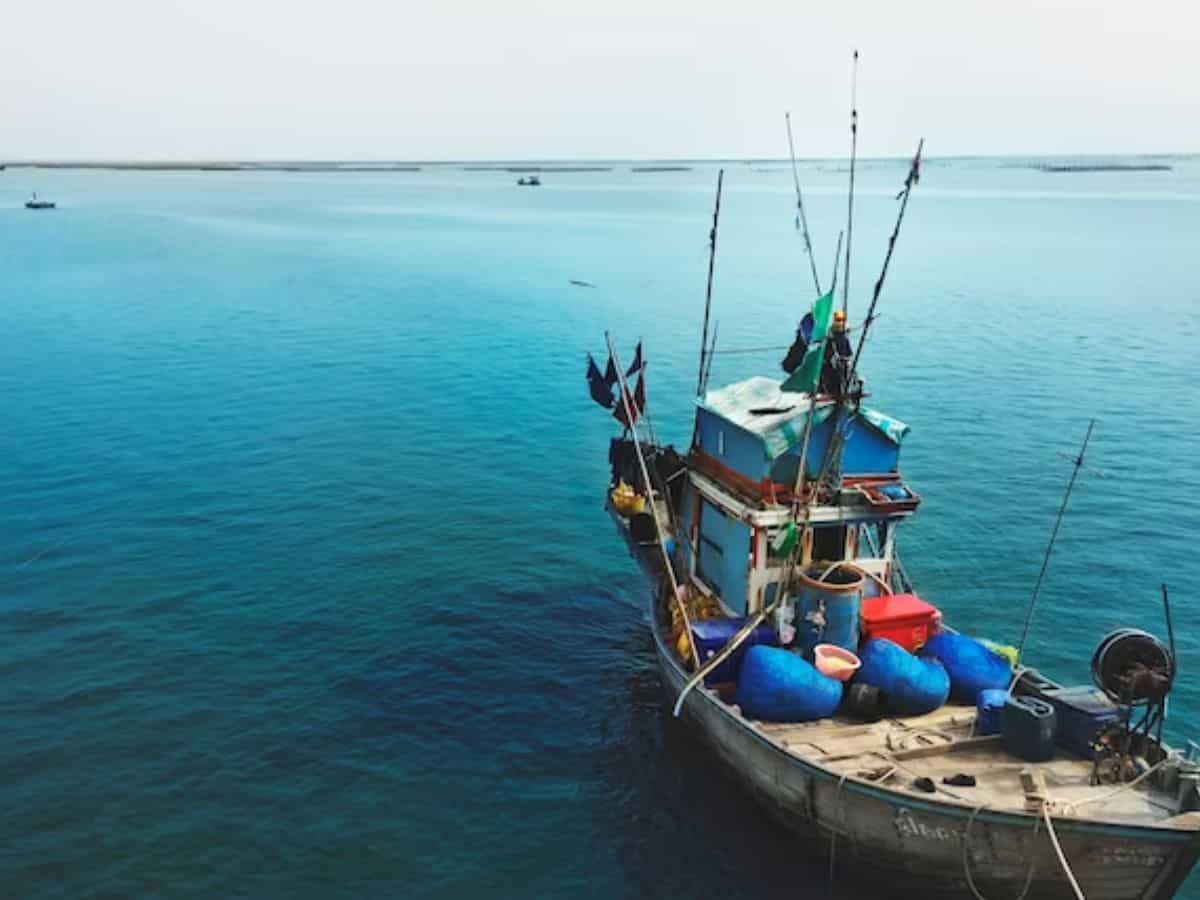 भारत के मछली निर्यात में गुजरात का 17% का योगदान, उत्पादन बढ़ाने के लिए मॉडर्न टेक्नोलॉजी के इस्तेमाल पर जोर