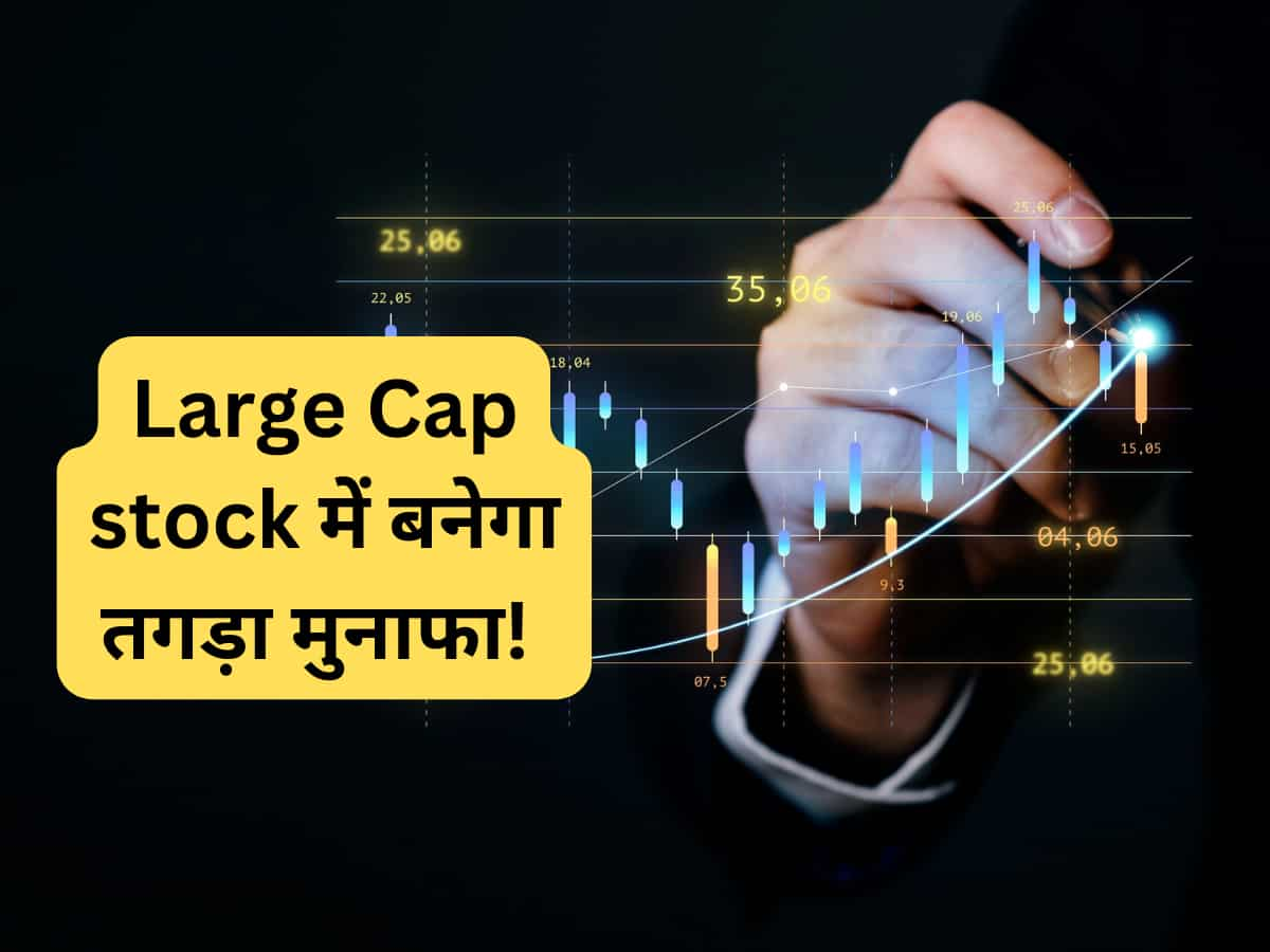 ये 5 Large Cap लगाएंगे मुनाफे की दौड़, Axis Securities ने बनाया टॉप पिक्‍स 