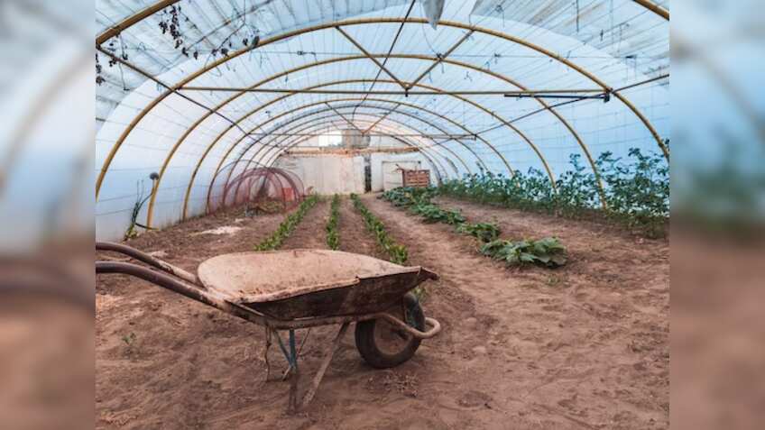Farming Technique: नए साल में किसान जान लें खेती की ये तकनीक, बढ़ जाएगी कमाई, जानिए कैसे मिलेगा इसका फायदा