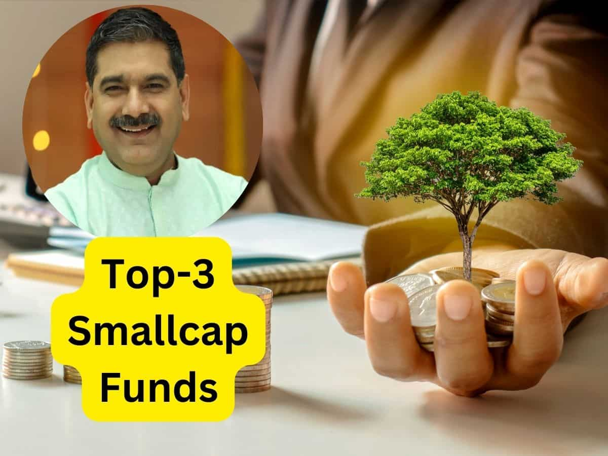 अनिल सिंघवी ने आपके लिए चुने Top-3 Smallcap Funds, दिया 75% का दमदार रिटर्न; जानें पूरी डीटेल