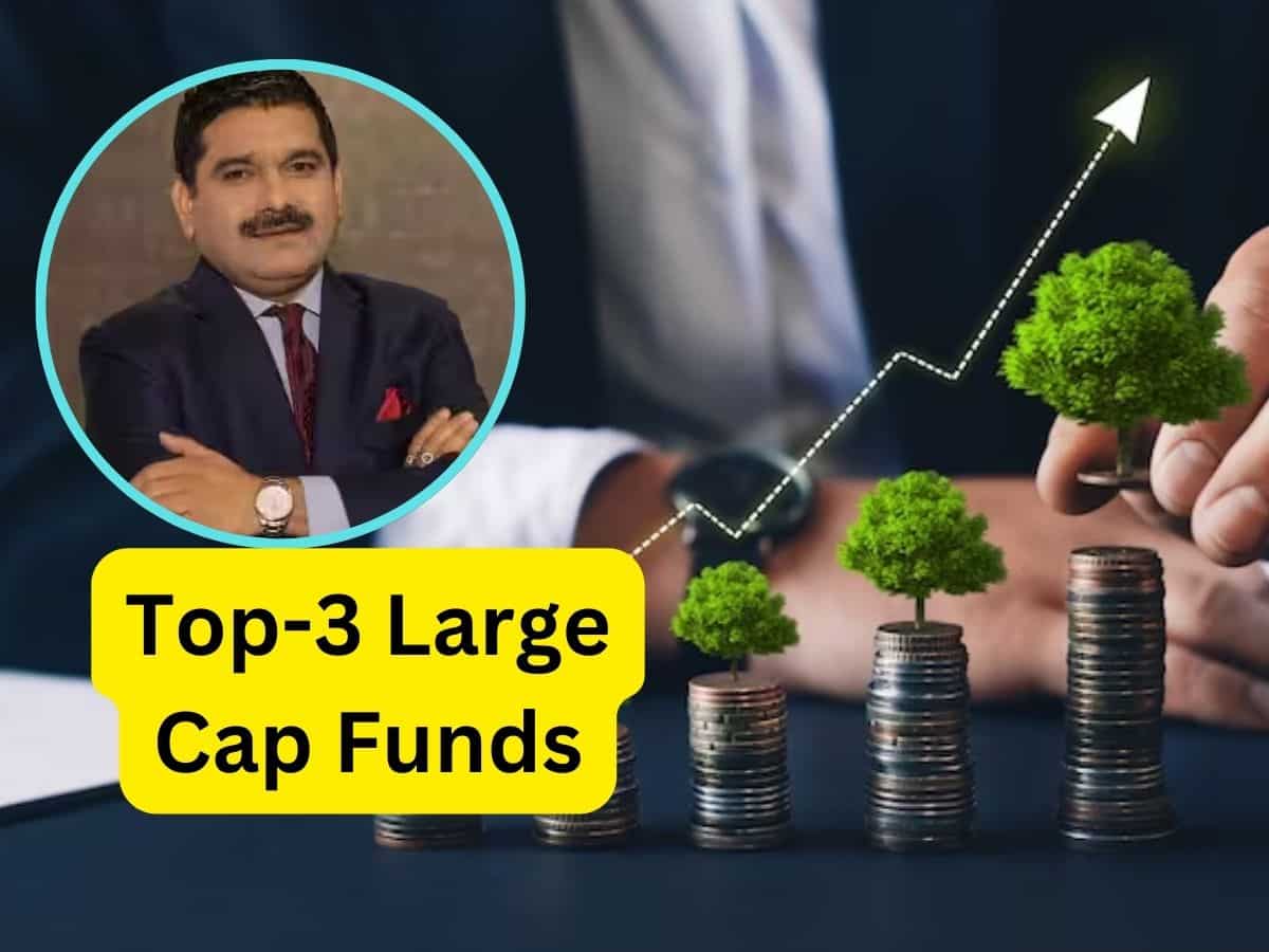 अनिल सिंघवी को पसंद हैं ये Top-3 Large Cap Funds, एसआईपी निवेशकों को दिया 45% का दमदार रिटर्न
