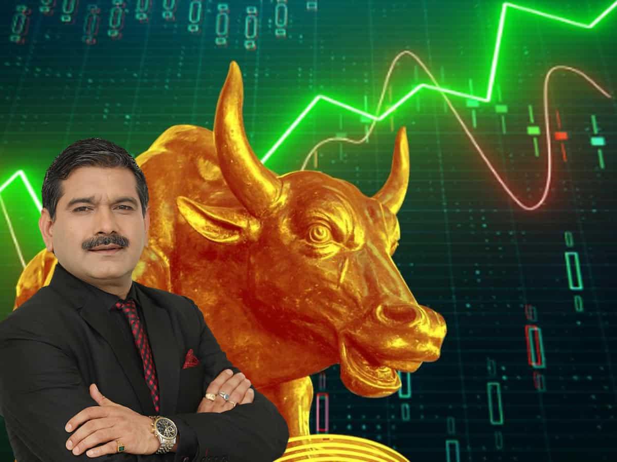 Senco Gold में बनेगा तगड़ा पैसा, अनिल सिंघवी ने दी खरीदारी की राय, मजबूत Q3 अपडेट से उछलेगा शेयर