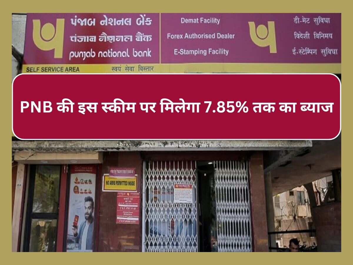 इसे कहते हैं बंपर रिटर्न! PNB की इस स्‍कीम में करें 1 साल से भी कम समय के लिए निवेश..पाएं 7.85% तक का ब्‍याज