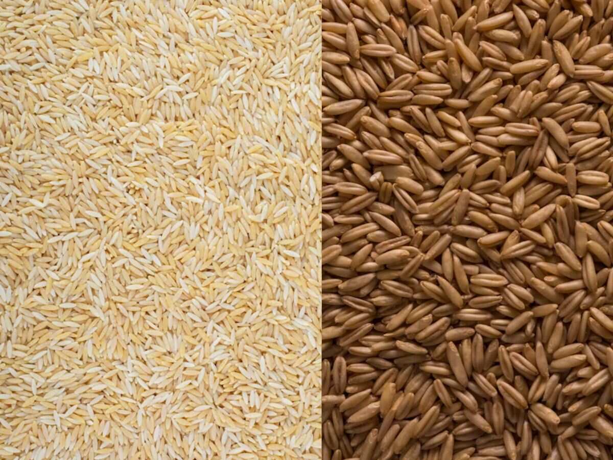 गेहूं, चावल, चीनी पर सरकार का लेटेस्ट अपडेट, कीमत पर हो सकता है बड़ा असर