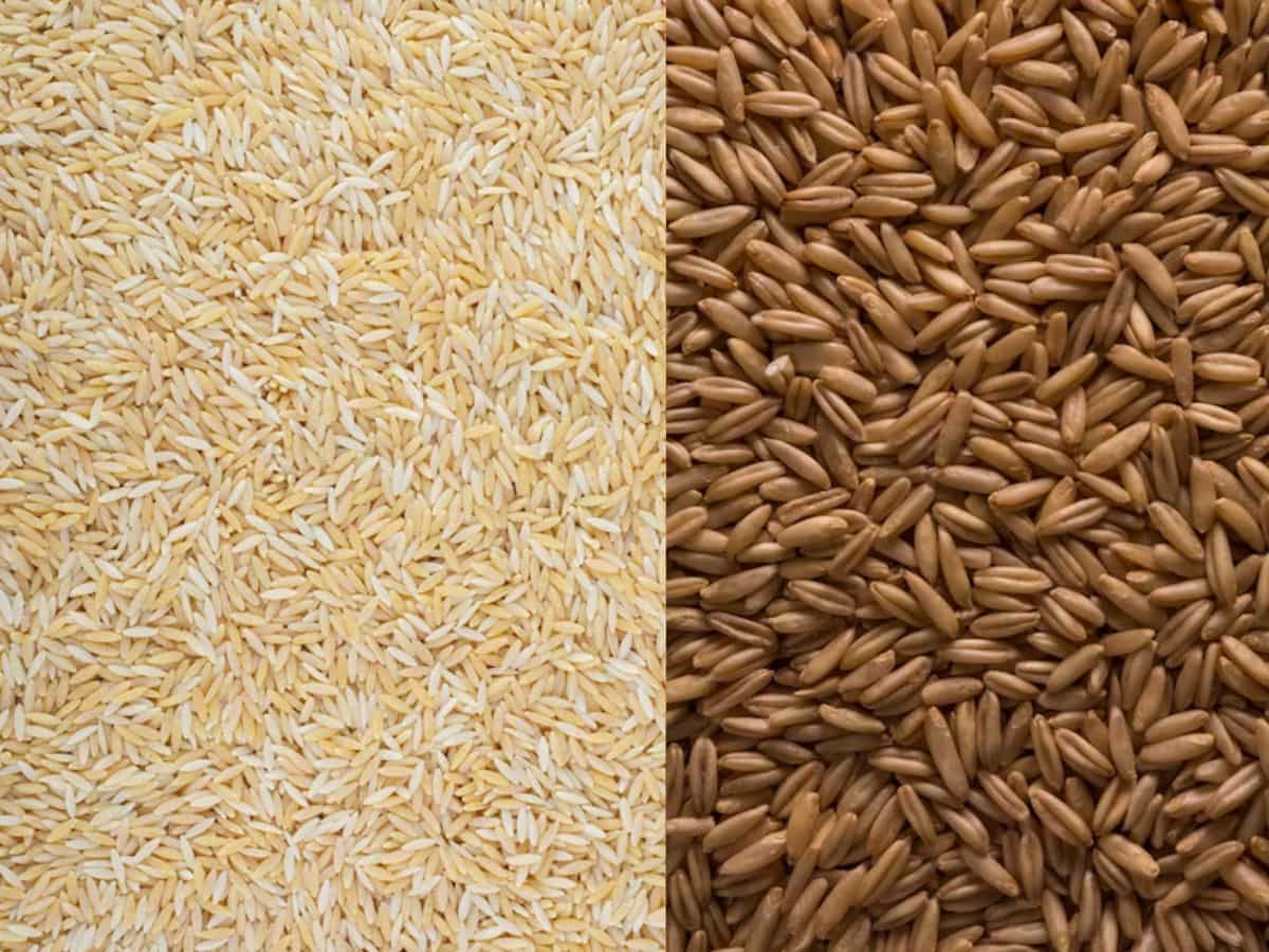गेहूं, चावल, चीनी पर सरकार का लेटेस्ट अपडेट, कीमत पर हो सकता है बड़ा असर
