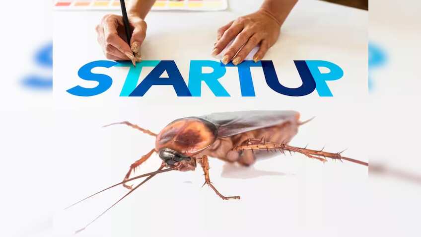 जानिए क्या होते हैं 'कॉकरोच स्टार्टअप', Business बचाना है तो Startups को अपनाने होंगे इस कीड़े के गुण!
