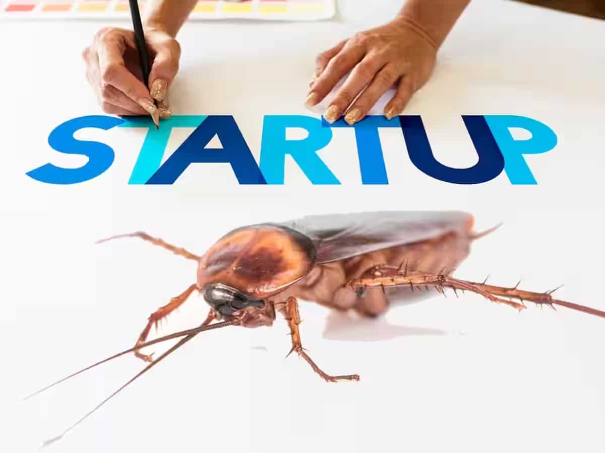 जानिए क्या होते हैं 'कॉकरोच स्टार्टअप', Business बचाना है तो Startups को अपनाने होंगे इस कीड़े के गुण!