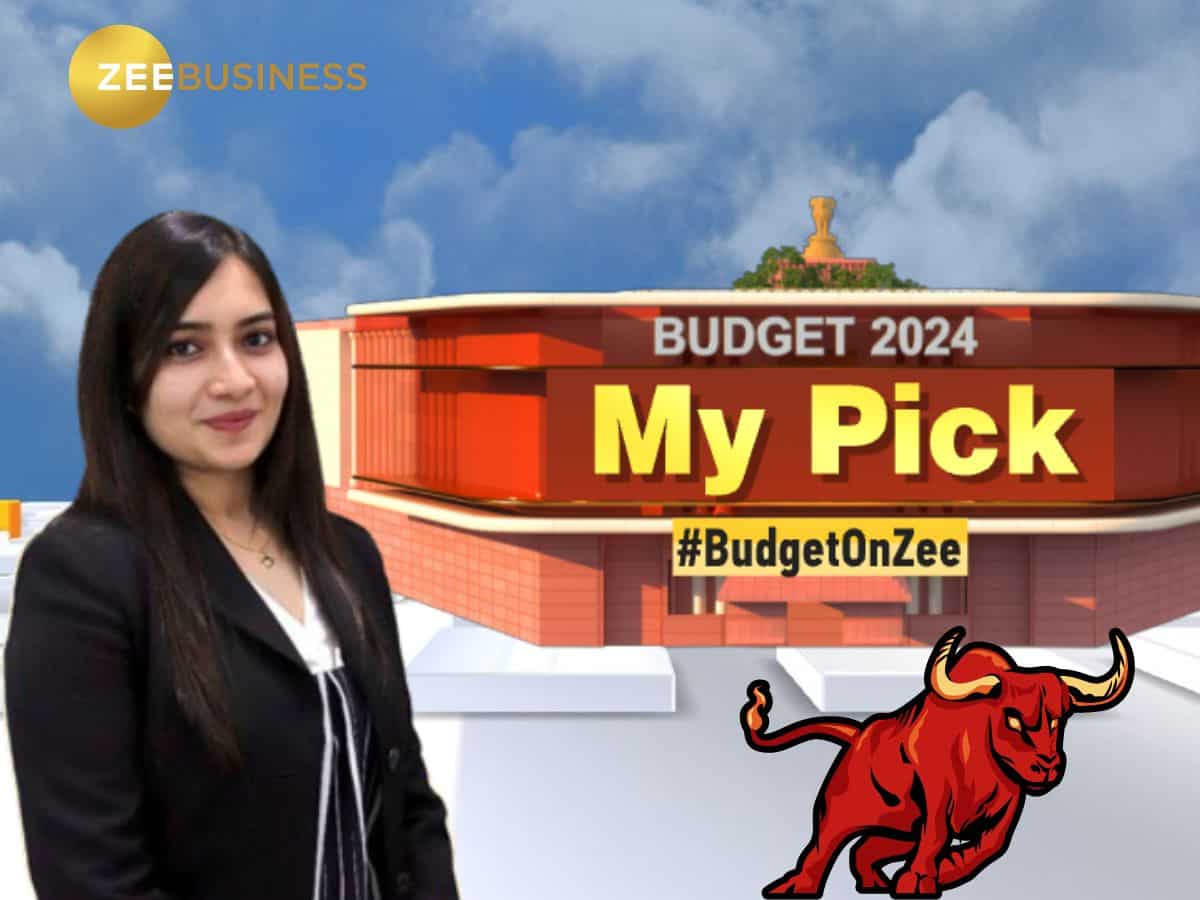 Budget Pick 2024: बजट से पहले खरीदें ये मल्टीबैगर स्टॉक, एक्सपर्ट ने कहा - छुएगा ₹270 का स्तर, सालभर में 160% उछला 