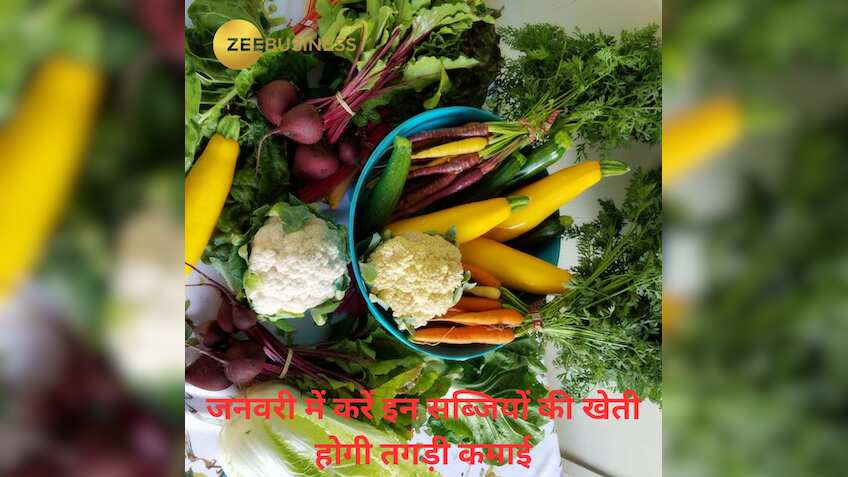बागवानी फसलों का होगा र‍िकॉर्ड उत्पादन, जानिए टमाटर और आलू और का क्या है हाल