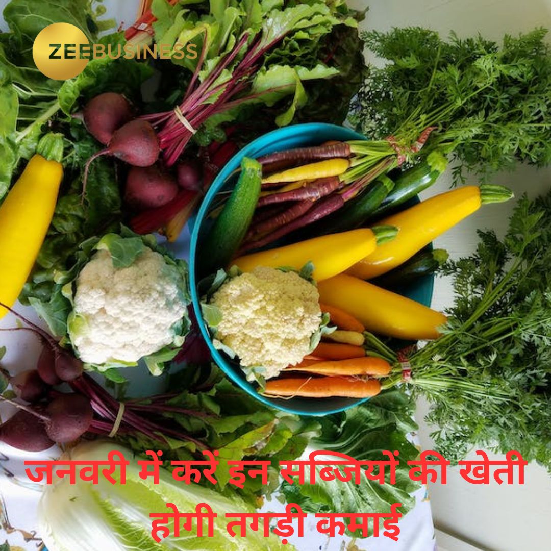 बागवानी फसलों का होगा रिकॉर्ड उत्पादन, जानिए टमाटर और आलू और का क्या है हाल