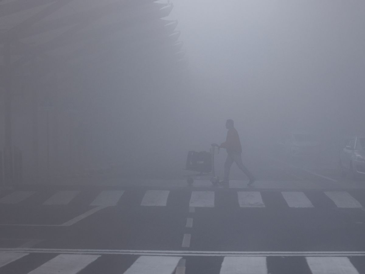 Delhi Weather Update: कोहरे की चादर से ढकी दिल्ली, मौसम विभाग ने सोमवार के लिए भी जारी किया ये अलर्ट