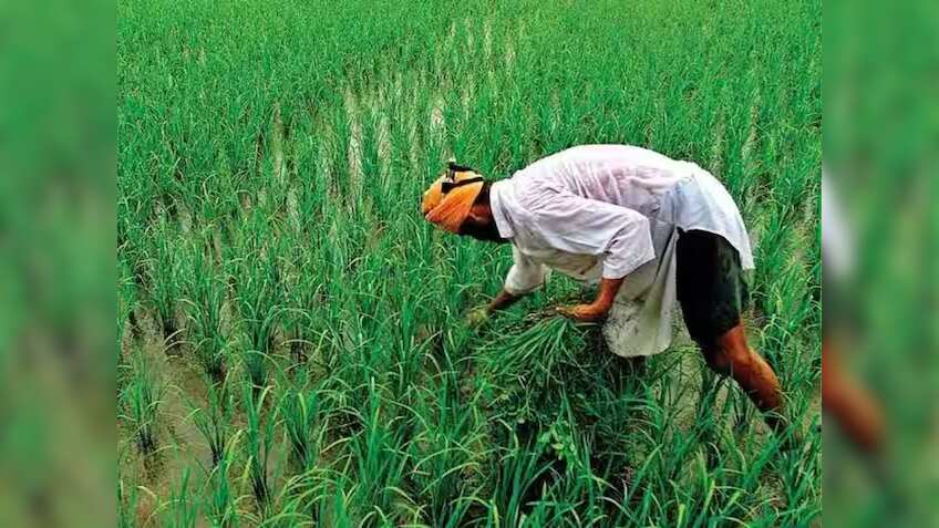 PM Kisan पर आया बड़ा अपडेट, 31 जनवरी तक करा लें ये काम, वरना नहीं मिलेंगे 16वीं किस्त के ₹2000