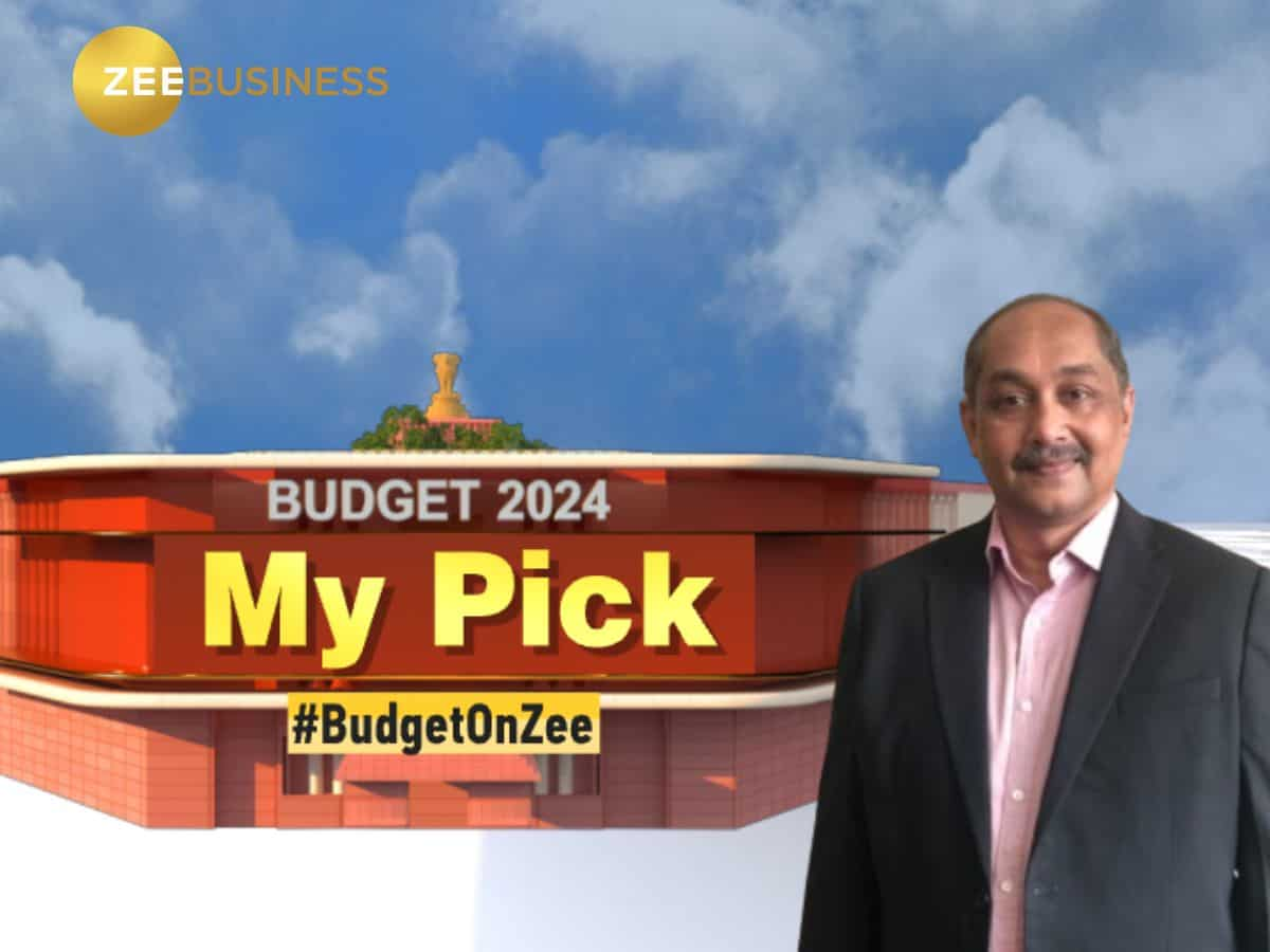 Budget Pick 2024: 1 साल के लिए खरीदें ये स्टॉक, एक्सपर्ट ने जताया भरोसा, नोट कर लें टारगेट