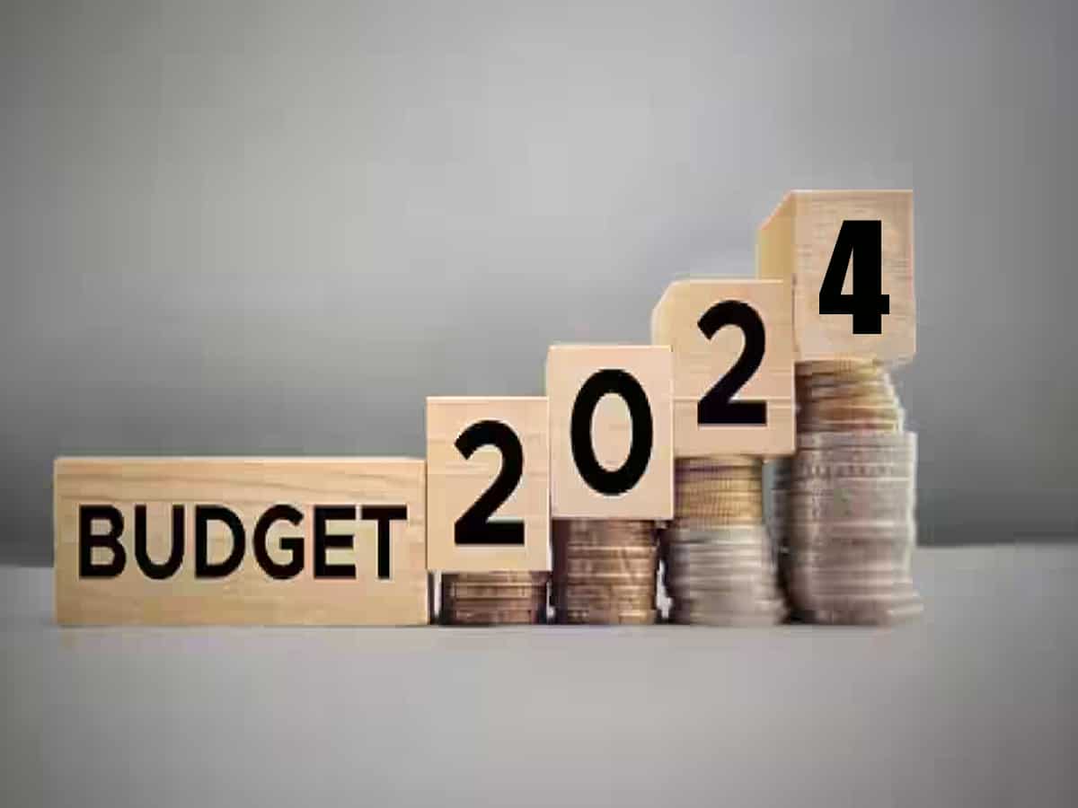 Budget 2024: एजुकेशन, एग्रीकल्चर और ईवी सेक्टर के Startups को इस बजट से क्या हैं उम्मीदें