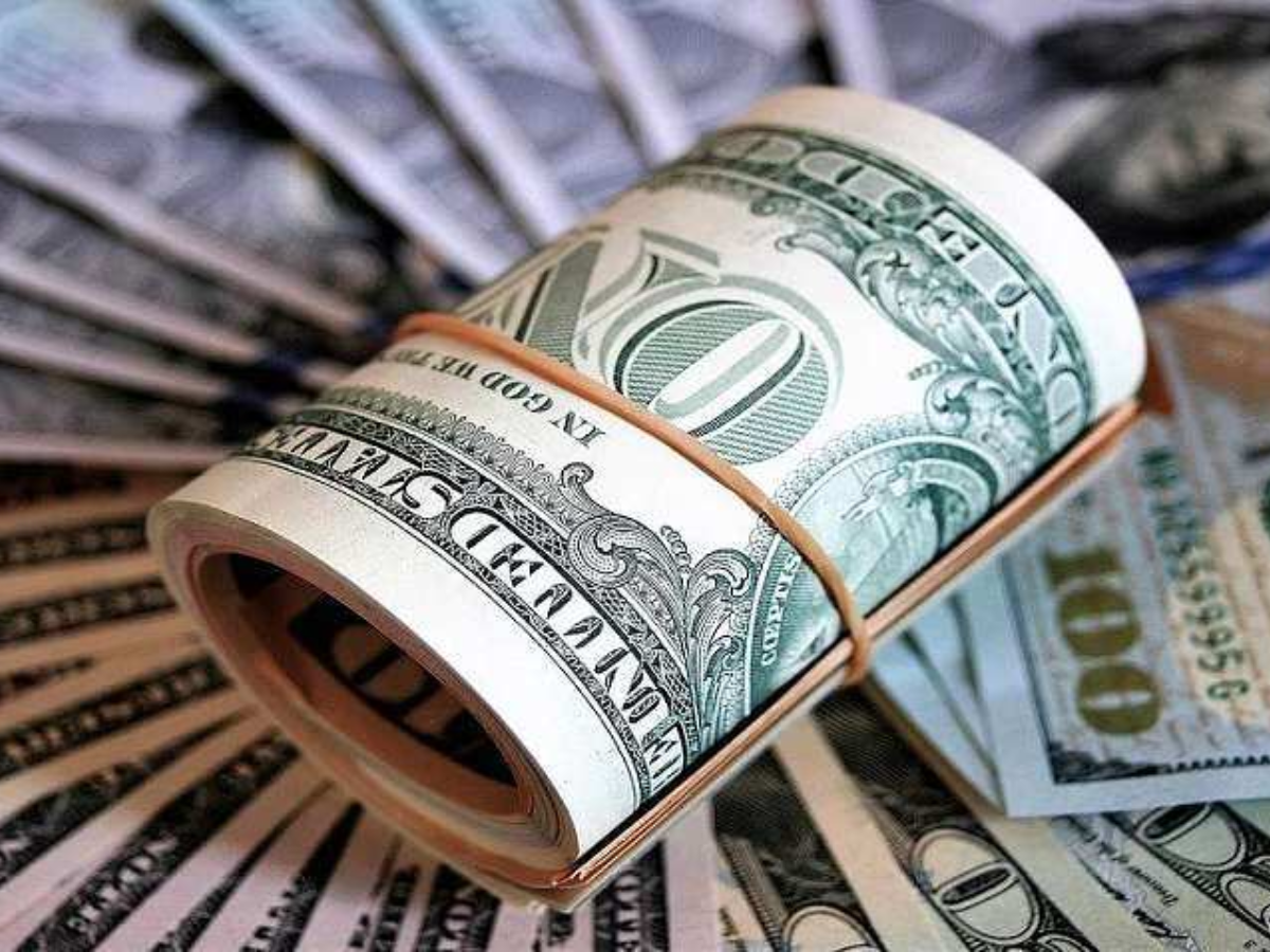घट गया विदेशी मुद्रा भंडार, जानें अब कितना है Foreign Exchange Reserves