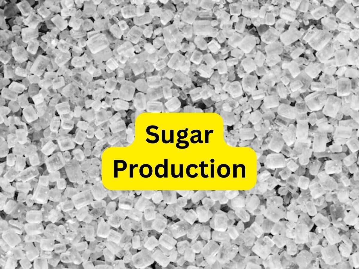Sugar Production: कम हो सकती है चीनी की मिठास, 2023-24 सीजन में उत्पादन 4% कम होने का अनुमान