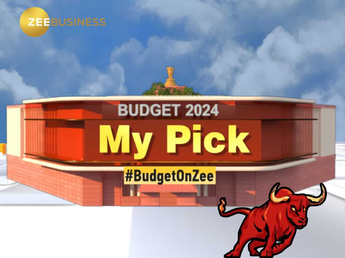 Budget Pick 2024: इन 8 शेयरों में करें खरीदारी, एक्सपर्ट्स ने जताया भरोसा, नोट कर लें टारगेट