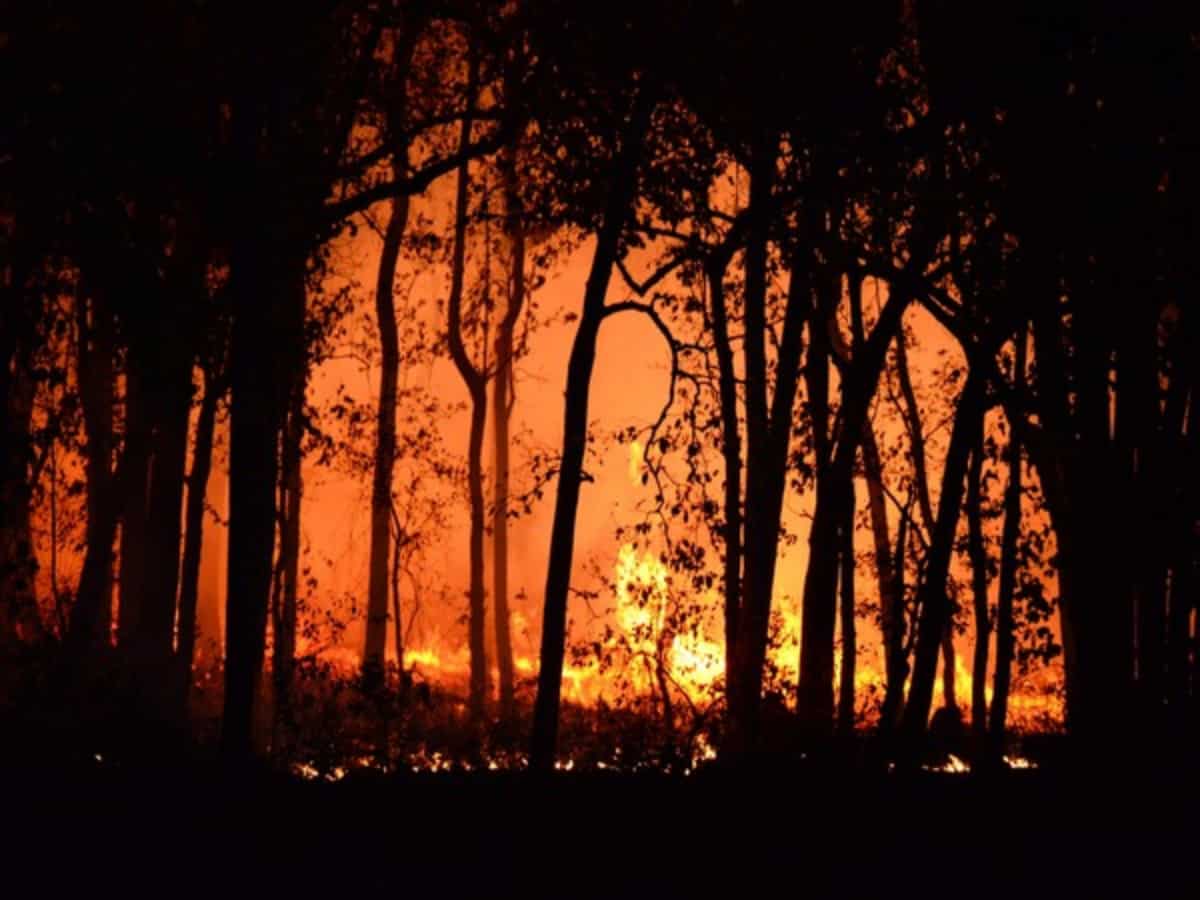 चिली में जंगल की आग घनी आबादी वाले इलाके में फैली, 112 लोगों की मौत, 1600 लोग बेघर, 200 लोग लापता