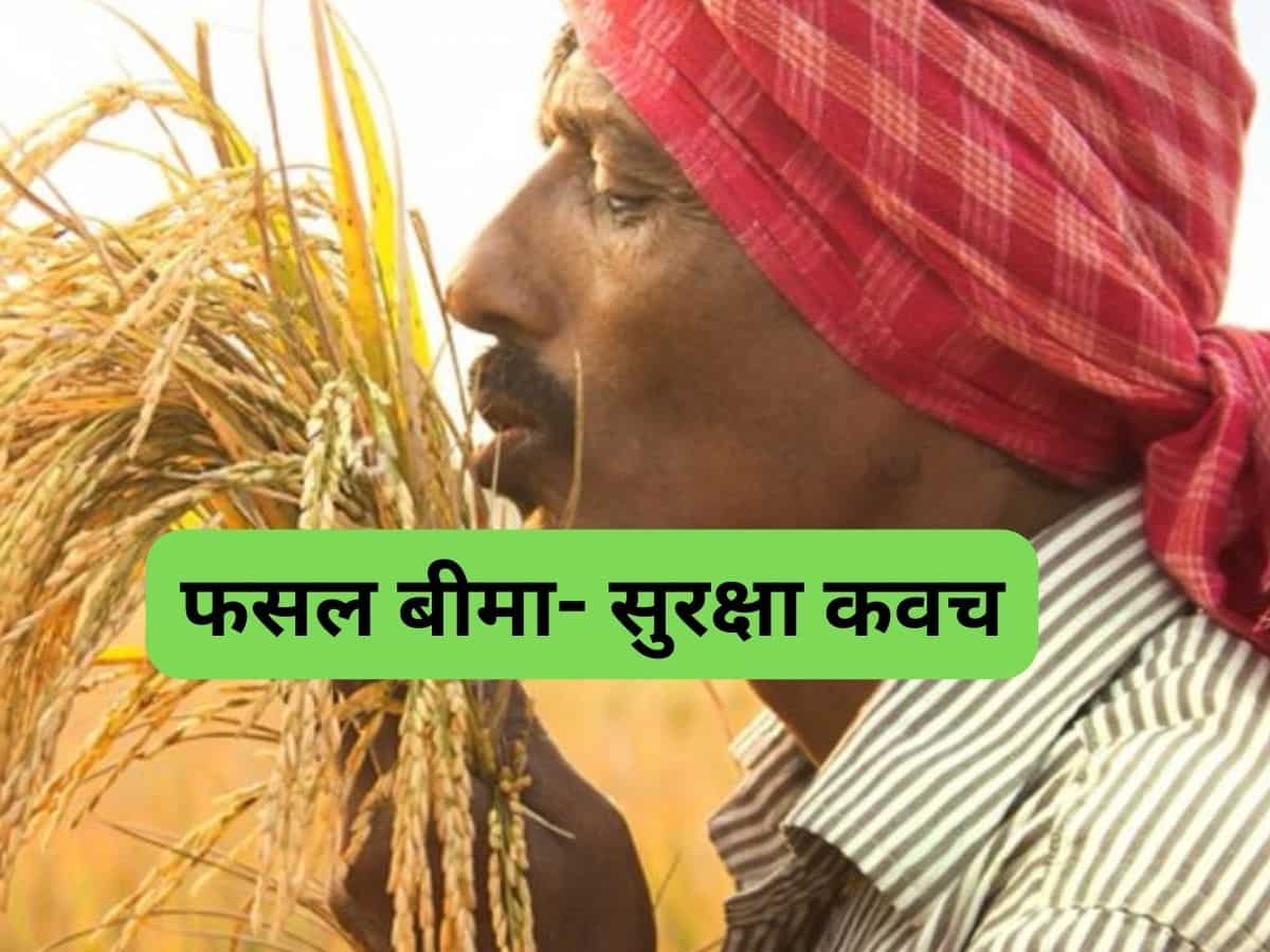 PMFBY के तहत 'मेरी पॉलिसी मेरे हाथ' अभियान शुरू, किसानों को खराब फसल के नुकसान की होगी भरपाई