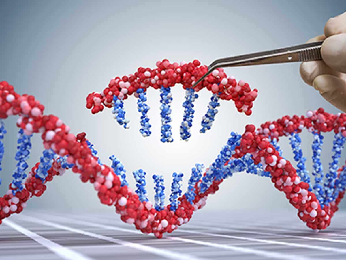 Covid से लड़ रहा बेंगलुरु का ये Startup, सीवेज सैंपल में JN.1 वैरिएंट को करता है ट्रैक, बनाया खास प्लेटफॉर्म